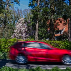 Zu schnell...... Ulrich Marzinkewitz-Maar