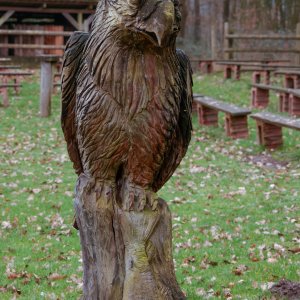 Eingang zur Flugshow