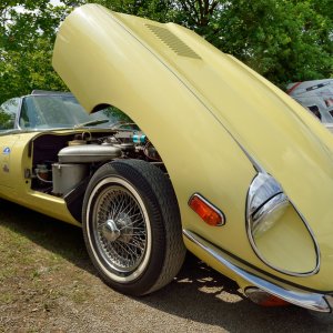 Jaguar E...... Wolfgang Rauchfleisch
