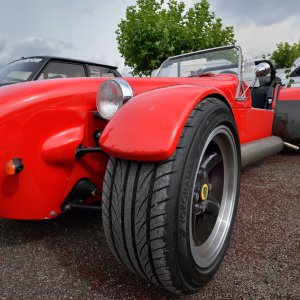 Lotus...... Wolfgang Rauchfleisch