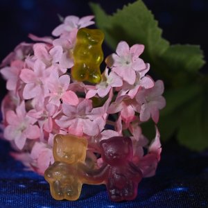 Gummibärenband...... Irene Upadek