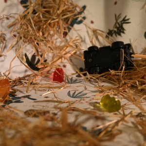 Chaos...... Irene Upadek