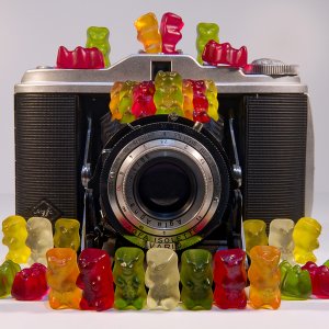 Fotomodels...... Wolfgang Rauchfleisch