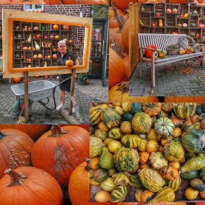 Herbstcollage...... Werner Schuffenhauer