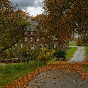 Dorf im Herbstgewand...... Roland Winkler