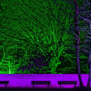 Grugapark...... Wolfgang Rauchfleisch
