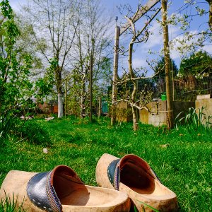 Frühling...... Christoph Möllers