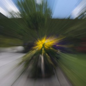 Zoom...... Roland Winkler