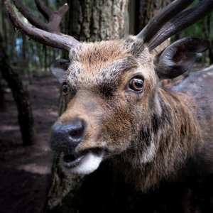 Nah dran...... Christoph Möllers