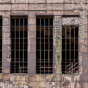 Gitterfenster...... Werner Schuffenhauer