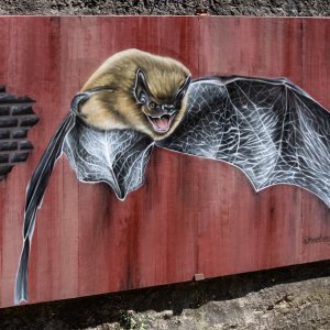 Kunst im LaPaDu...... Roland Winkler