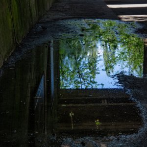 Spiegelung...... Roland Winkler