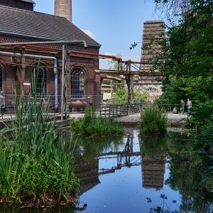 Spiegelung...... Werner Schuffenhauer