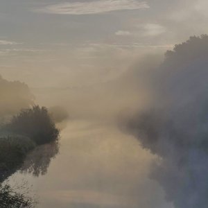 Nebel...... Werner Schuffenhauer