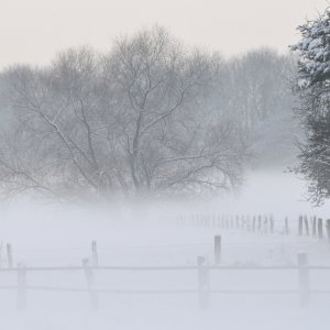 Nebel im Lippetal...... Wolfgang Rauchfleisch