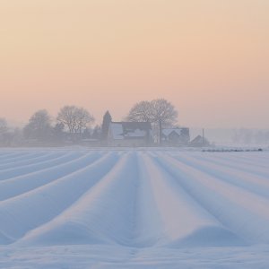 Nebel in Gahlen...... Wolfgang Rauchfleisch