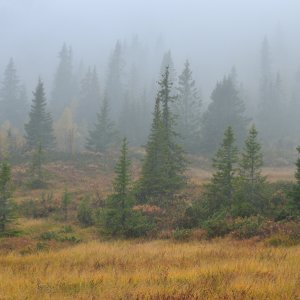 Nebel in Norwegen...... Wolfgang Rauchfleisch