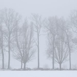 Nebel im Marientha...... Wolfgang Rauchfleisch