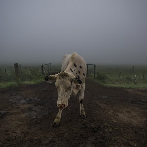 Am frühen Morgen...... Roland Winkler