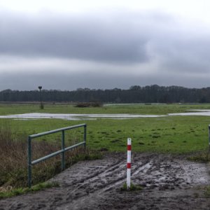 Rader Wiese...... Roland Winkler