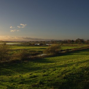 Wendland...... Roland Winkler