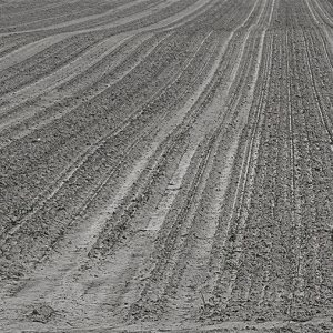Spuren auf dem Acker...... Roland Winkler