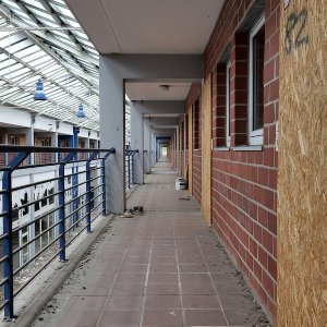 Werner Schuffenhauer