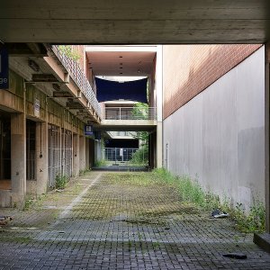 Werner Schuffenhauer