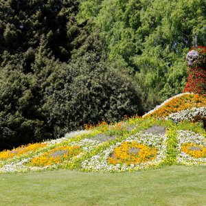 Pfau...... Horst Tripp
