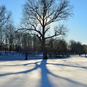 Winterschatten...... Wolfgang Rauchfleisch