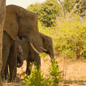 Beschützt...... Heike Wackermann