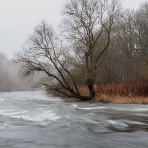 Lippe bei Dorsten...... Rainer Kalusok