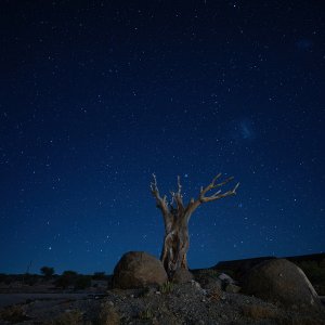 Nachthimmel über Südafrika...... Heike Wackermann
