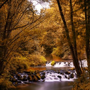 Hambach...... Christoph Möllers