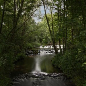 Hambach...... Sabine Schröder