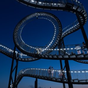 Tiger Turtle...... Arndt Neumann