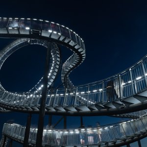 Tiger Turtle...... Arndt Neumann