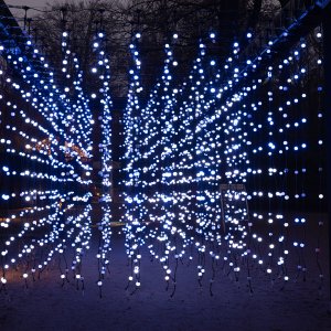 Zoo Münster...... Arndt Neumann