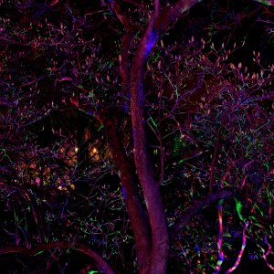 Lichtinstallation...... Wolfgang Rauchfleisch