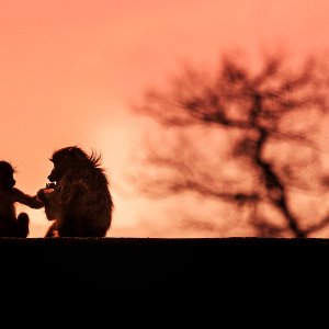 Sonne über Afrika......Christian Kundschaft