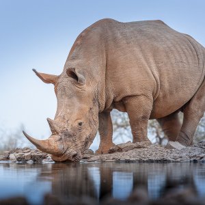 Wasserloch......Christian Kundschaft