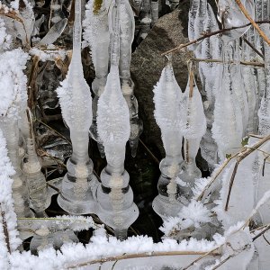 Hochwasserskupturen...... Wolfgang Rauchfleisch