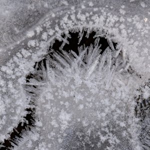 Eiskristalle...... Wolfgang Rauchfleisch