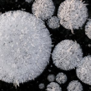 Frostblasen...... Wolfgang Rauchfleisch