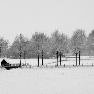 Winterlandschaft...... Helmut Buchta