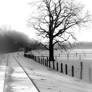 Bahngleis Rhader Wiese...... Jürgen Alfes