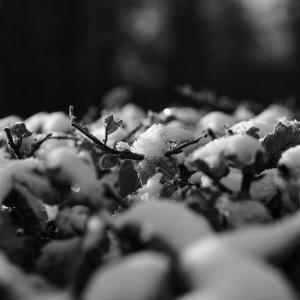 Schneebedeckt...... Heiko Ermann