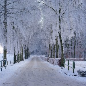 Ausgang Schloss Raesfeld..... Roland Winkler