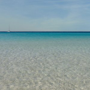 Elafonosos...... Werner Marks