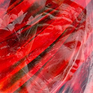 Monochrome 2...... Wolfgang Rauchfleischer